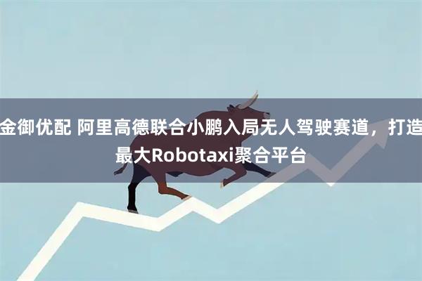 金御优配 阿里高德联合小鹏入局无人驾驶赛道，打造最大Robotaxi聚合平台