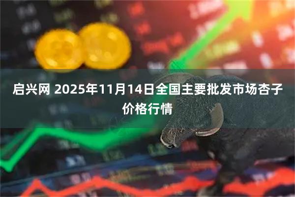 启兴网 2025年11月14日全国主要批发市场杏子价格行情